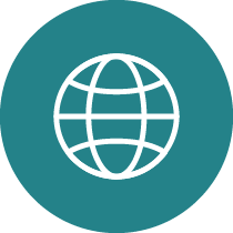 Voltaira-Web-Icon_31 nationalities across 16 countries-2 World icon